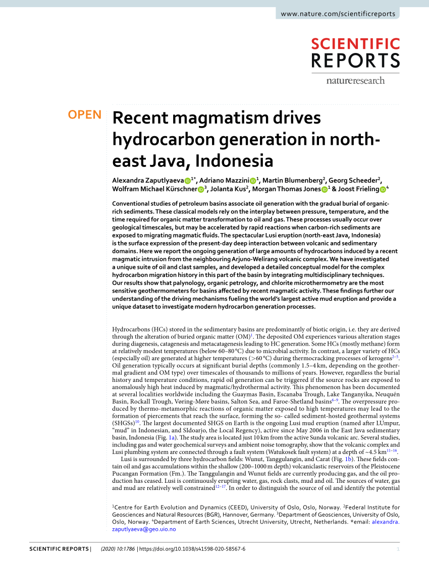 Pdf Recent Magmatism Drives Hydrocarbon Generation In North East Java Indonesia