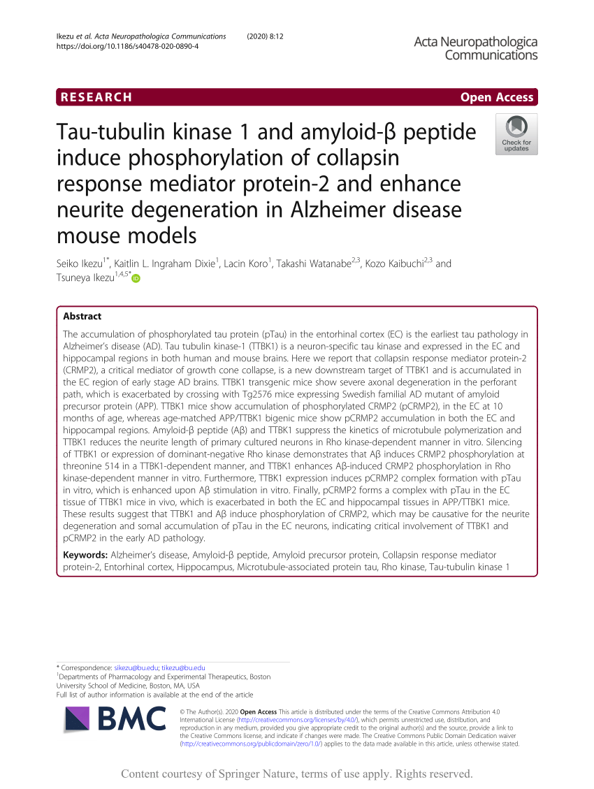 PDF) Tau-tubulin kinase 1 and amyloid-β peptide induce phosphorylation of  collapsin response mediator protein-2 and enhance neurite degeneration in  Alzheimer disease mouse models