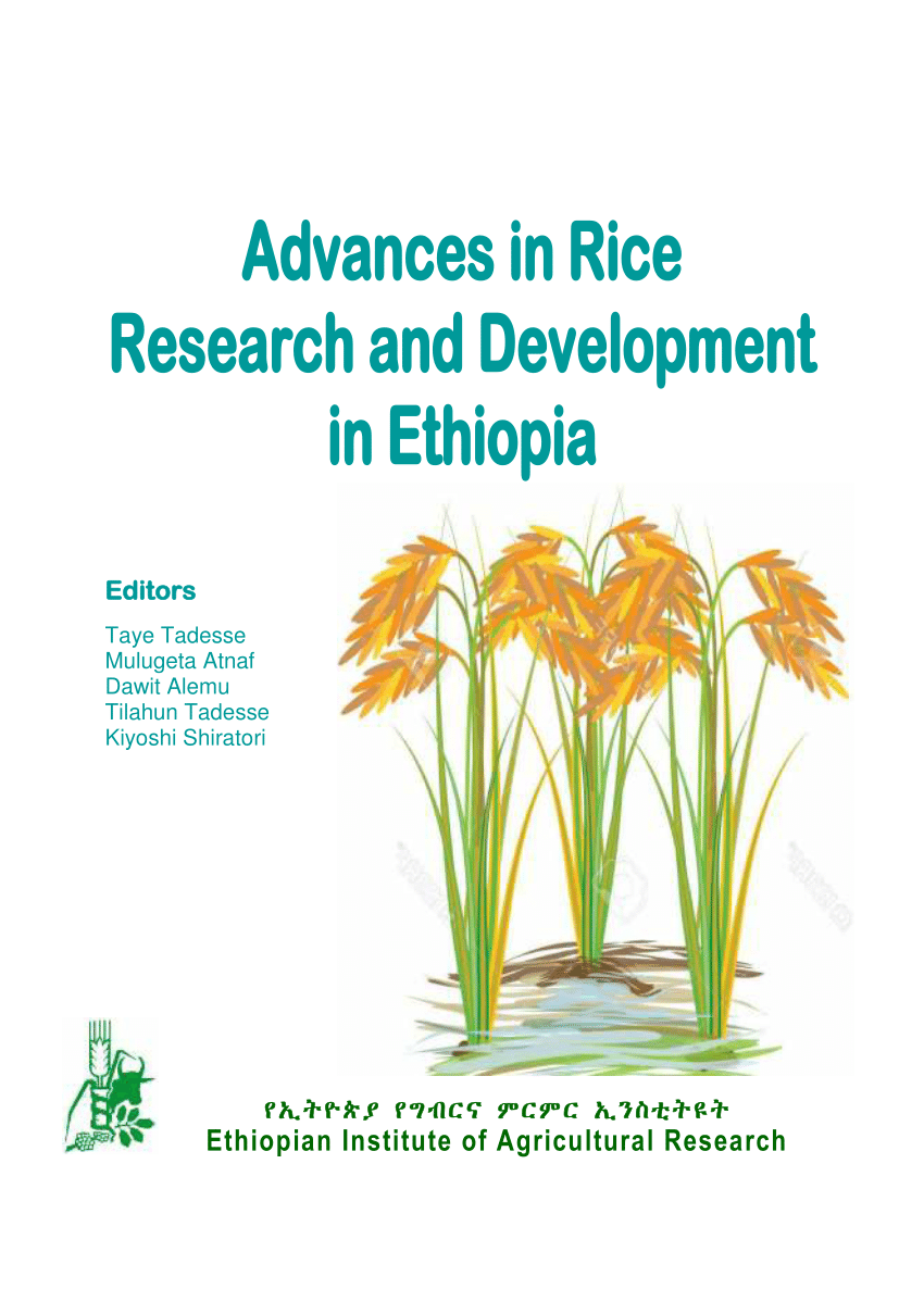 research article about rice