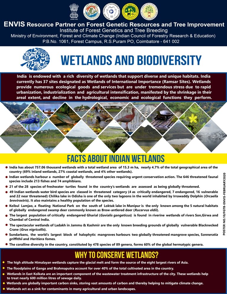 wetland biodiversity research paper