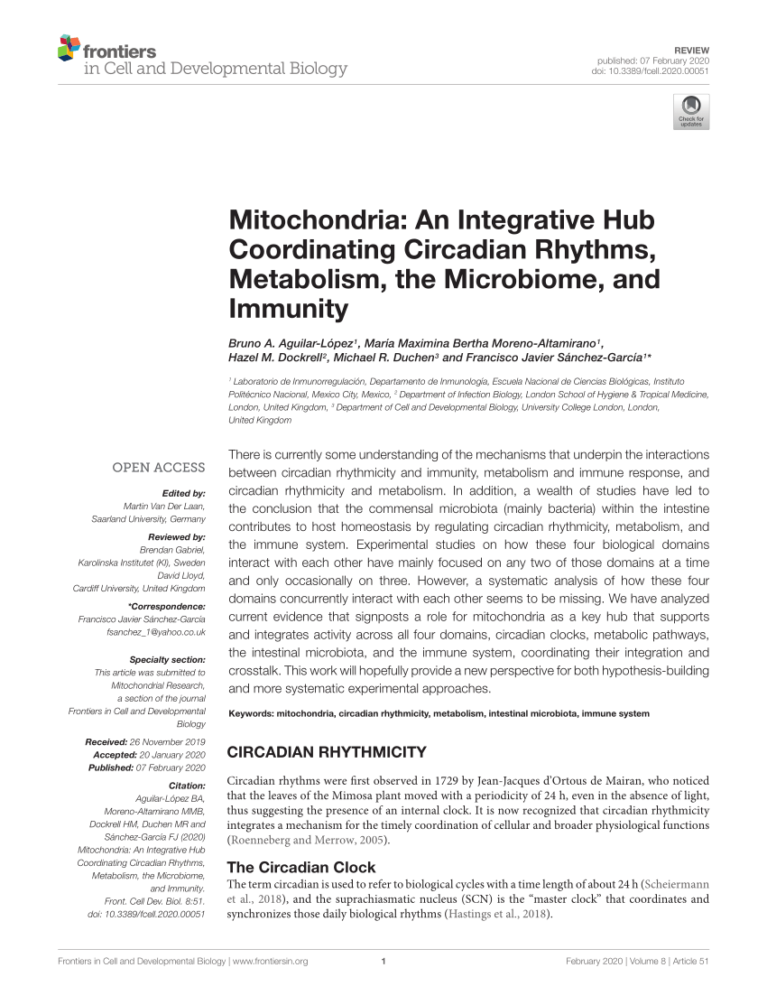 Pdf Mitochondria An Integrative Hub Coordinating Circadian Rhythms Metabolism The Microbiome And Immunity