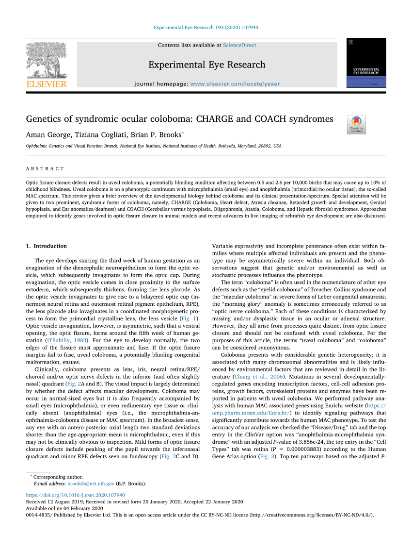 Clinical and mutational spectrum in Korean patients with Rubinstein–Taybi  syndrome: The spectrum of brain MRI abnormalities - ScienceDirect