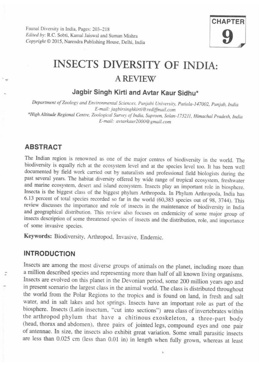 insect diversity research paper