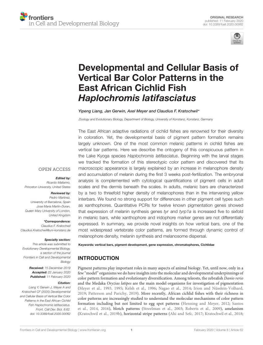 PDF) Developmental and Cellular Basis of Vertical Bar Color ...