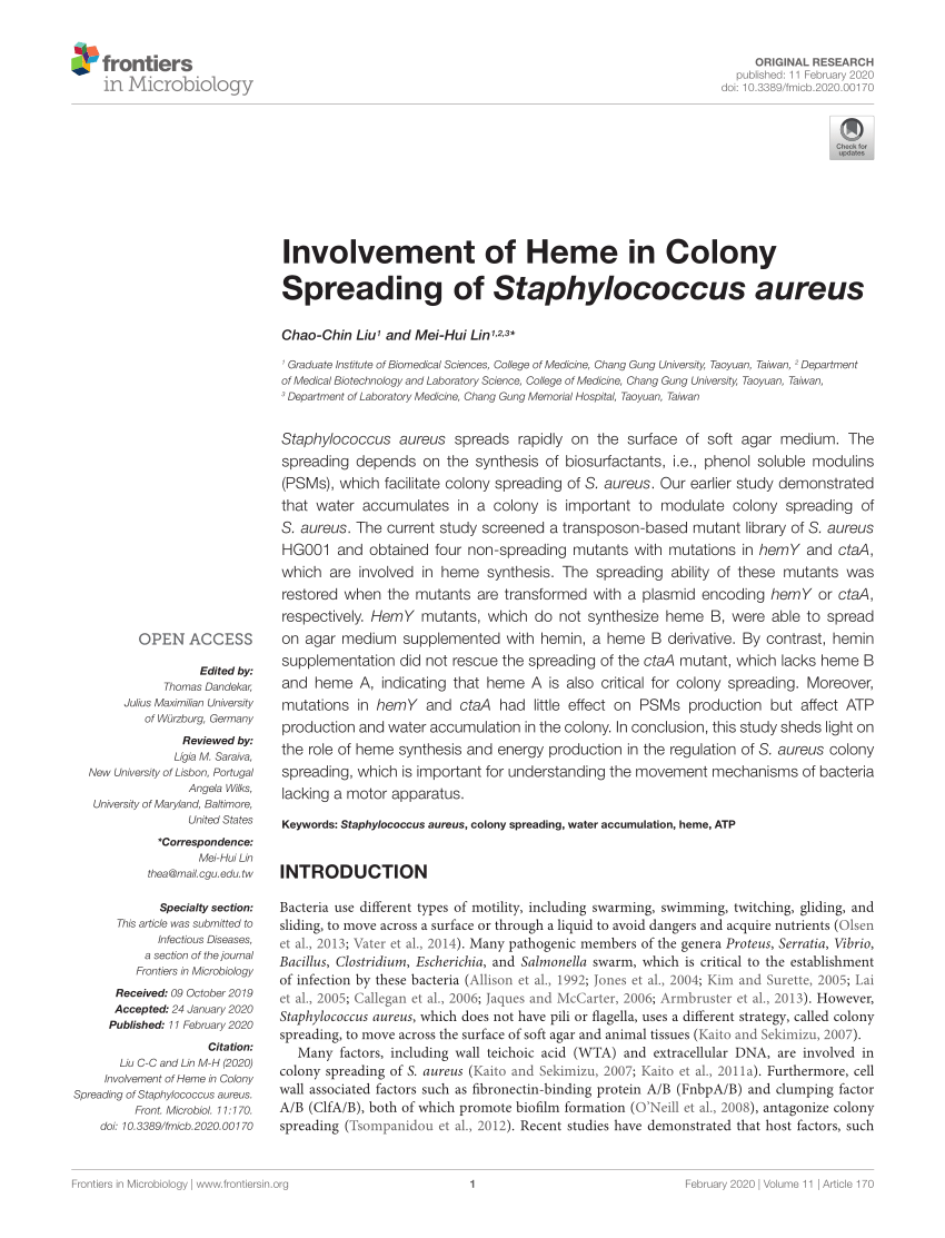 Staphylococcus aureus forms spreading dendrites that have characteristics  of active motility