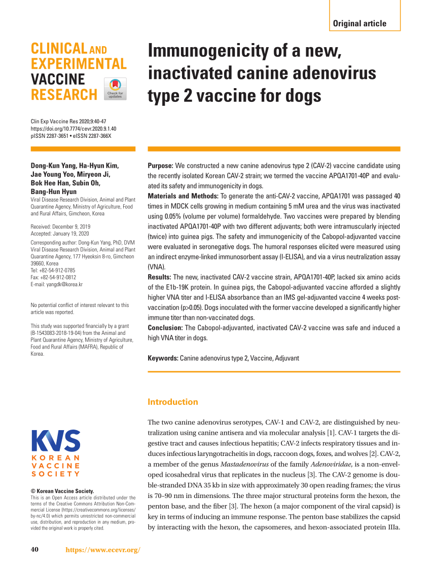 (PDF) Immunogenicity of a new, inactivated canine adenovirus type 2