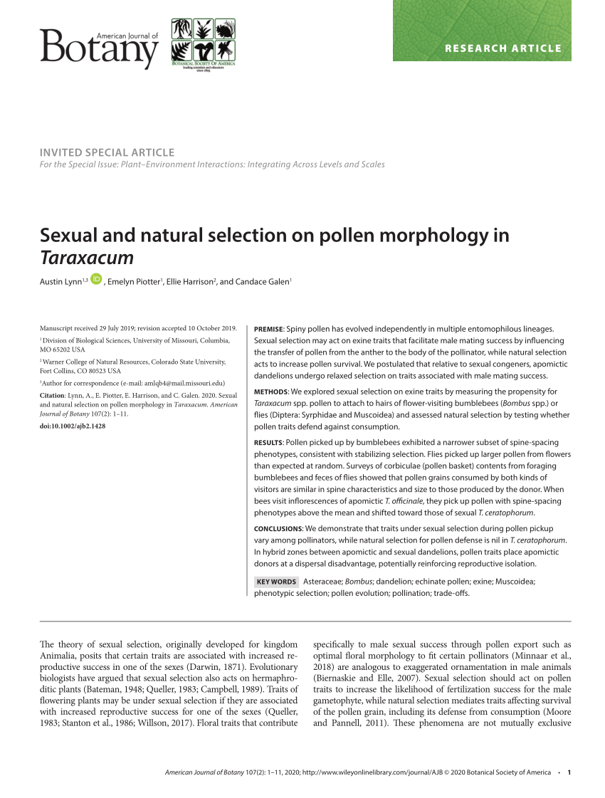 PDF) Sexual and natural selection on pollen morphology in Taraxacum foto foto