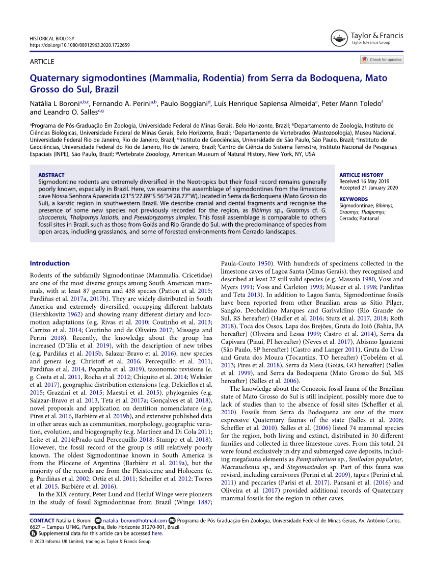 Download Pdf Quaternary Sigmodontines Mammalia Rodentia From Serra Da Bodoquena Mato Grosso Do Sul Brazil PSD Mockup Templates