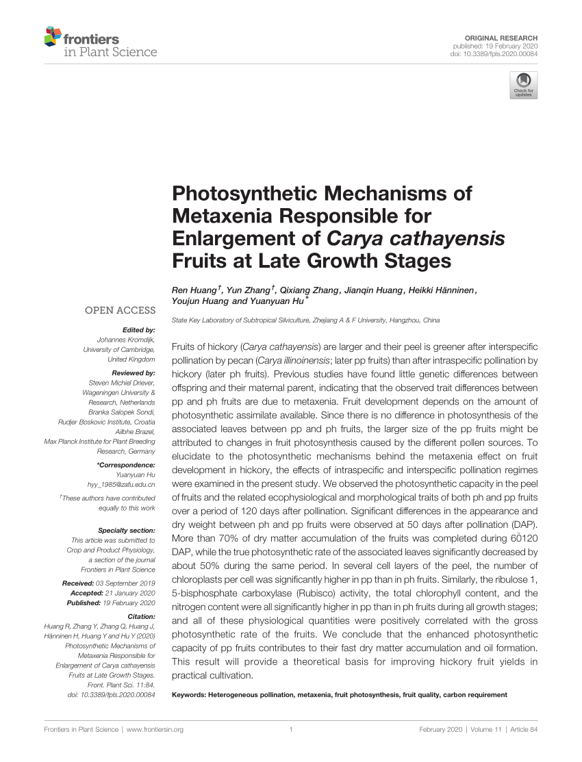 Pdf Photosynthetic Mechanisms Of Metaxenia Responsible For Enlargement Of Carya Cathayensis Fruits At Late Growth Stages