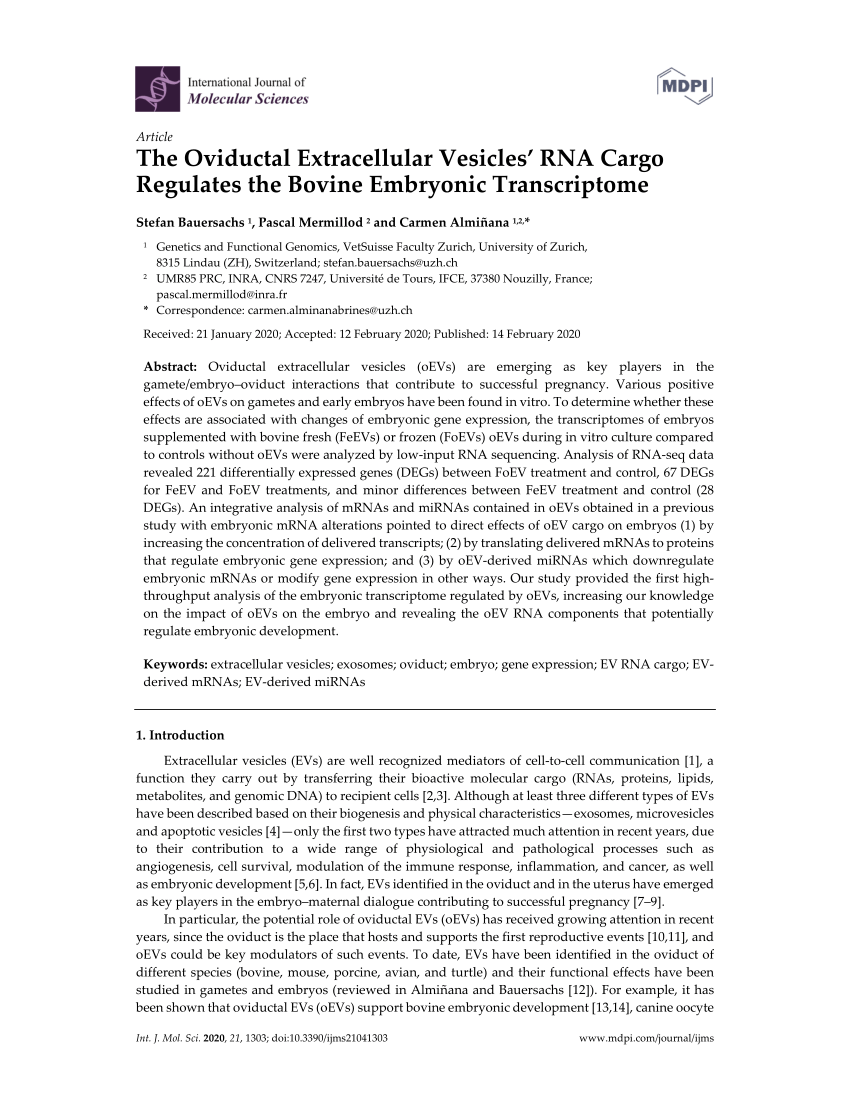 Pdf The Oviductal Extracellular Vesicles Rna Cargo Regulates The Bovine Embryonic Transcriptome