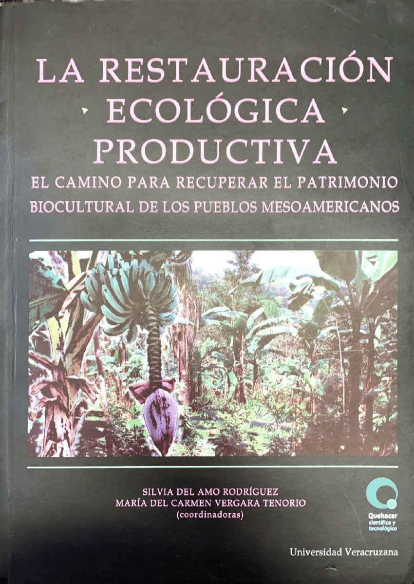 (PDF) Aspectos productivos y ecológicos de sistemas agroforestales ...