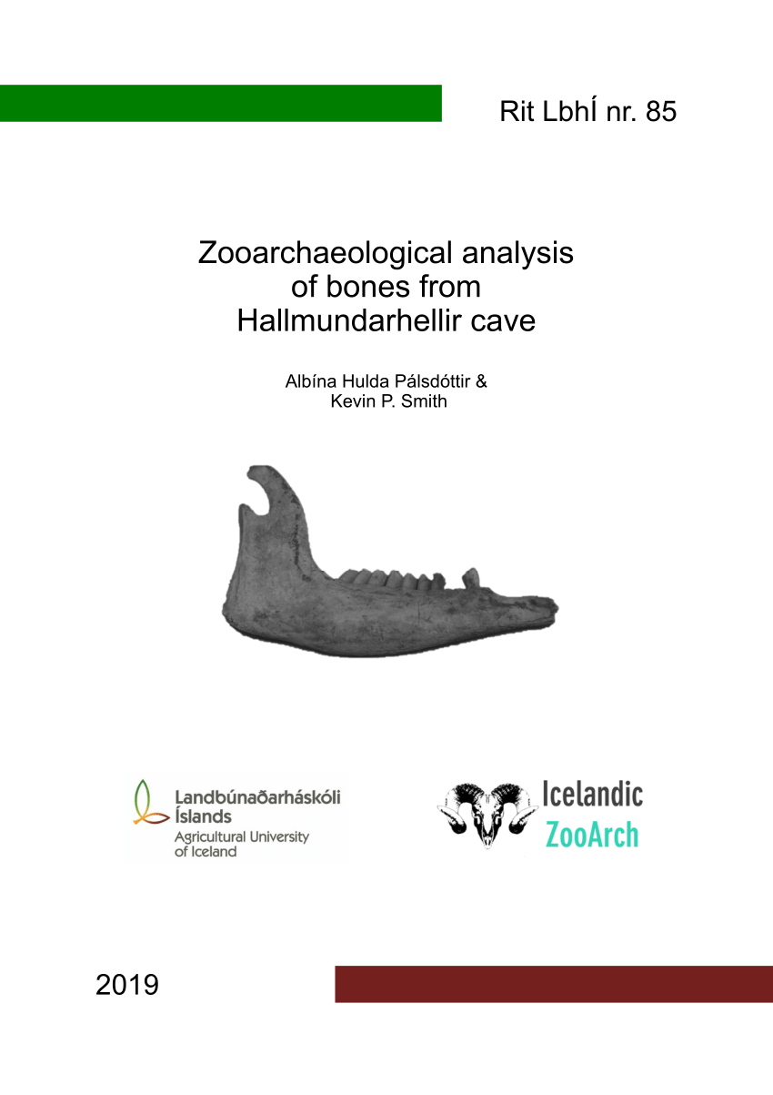 PDF) Zooarchaeological analysis of bones from Hallmundarhellir cave