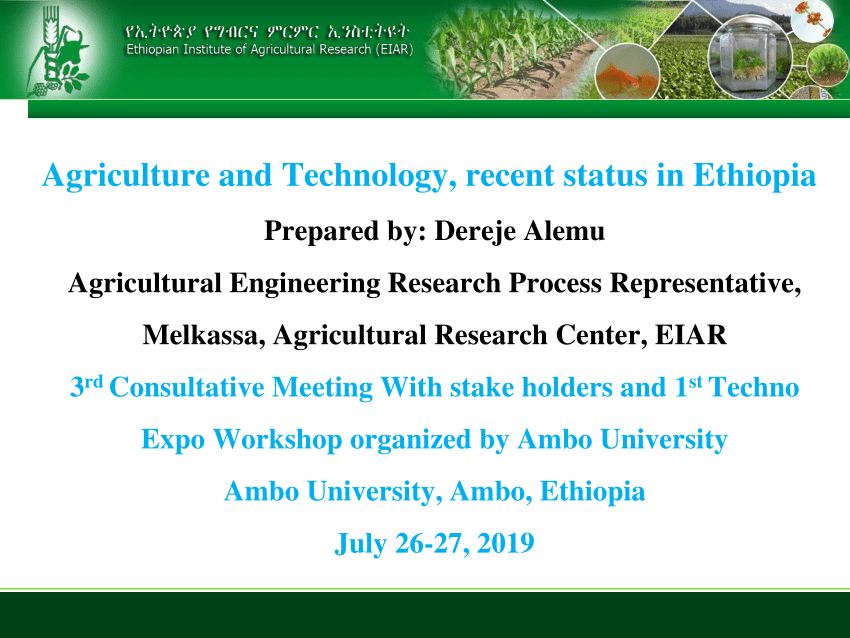 msc thesis on off farm activities in rural ethiopia