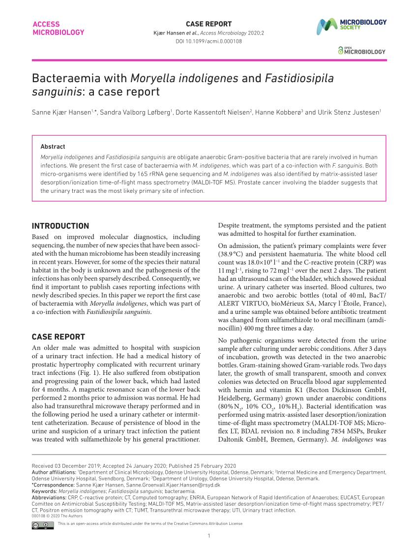 (PDF) Bacteraemia with Moryella indoligenes and Fastidiosipila