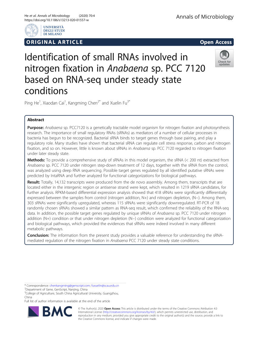 PDF) Identification of small RNAs involved in nitrogen fixation in 