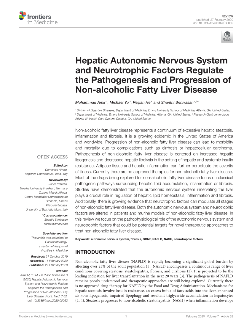 PDF) Hepatic Autonomic Nervous System and Neurotrophic Factors 