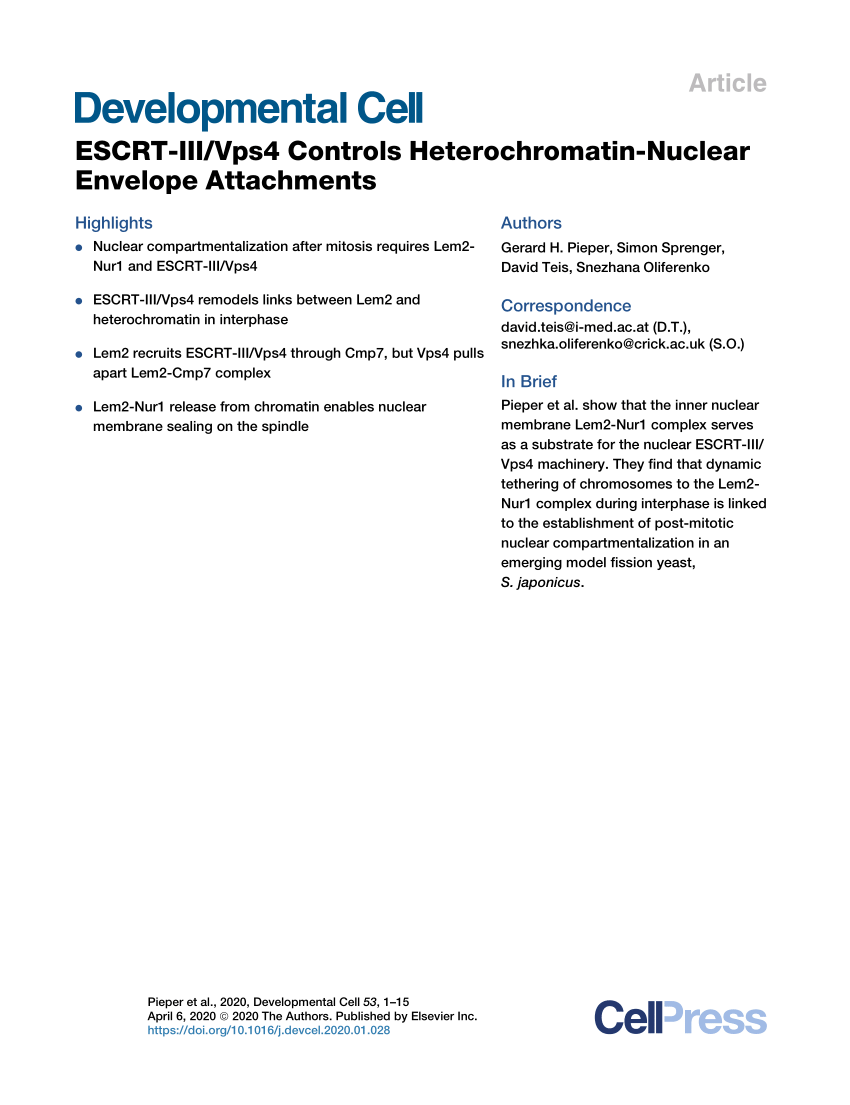 Pdf Escrt Iii Vps4 Controls Heterochromatin Nuclear Envelope Attachments