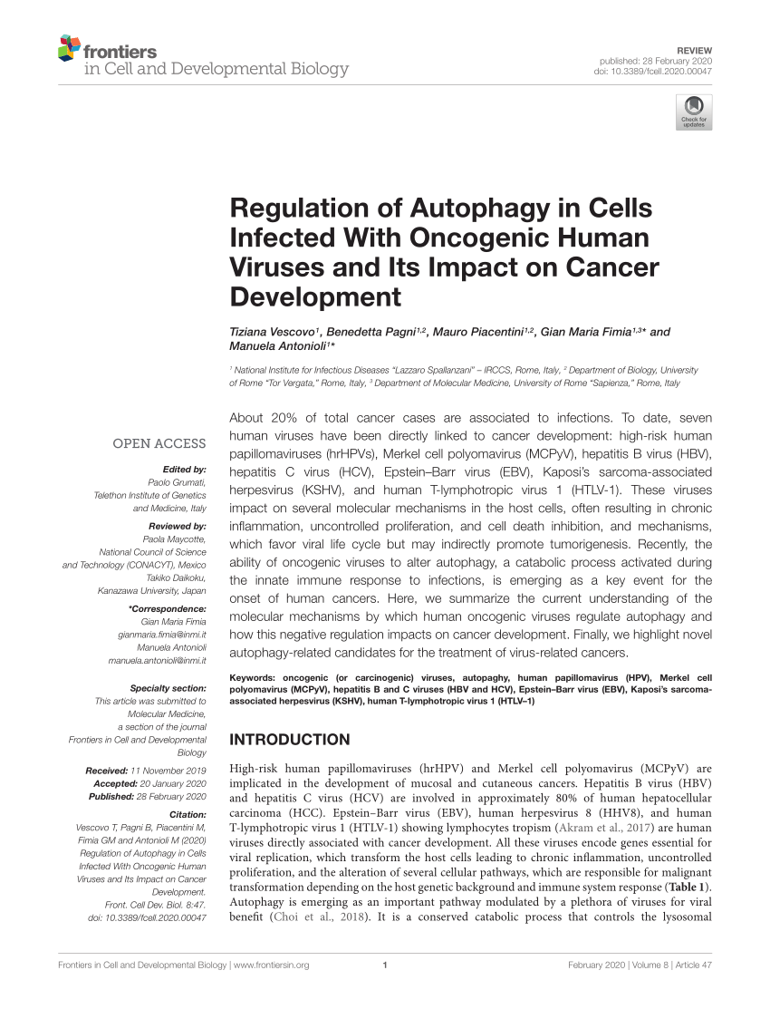 PDF) Regulation of Autophagy in Cells Infected With Oncogenic 