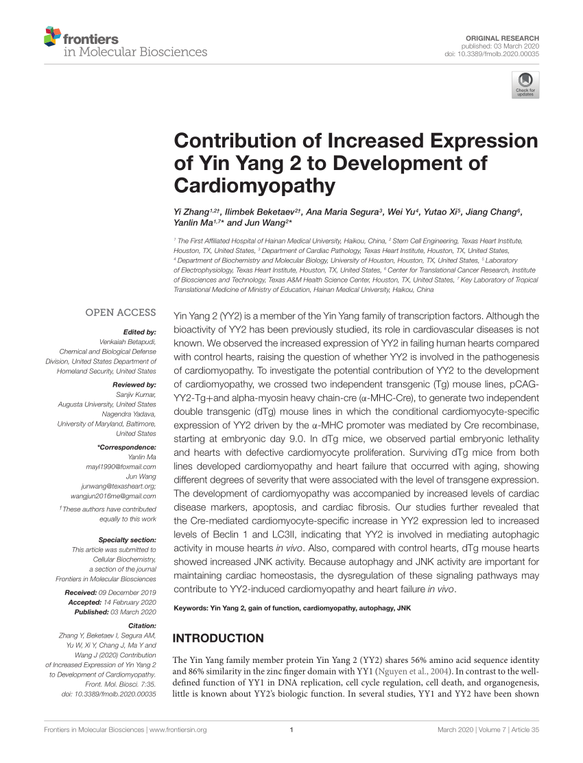 Pdf Contribution Of Increased Expression Of Yin Yang 2 To Development Of Cardiomyopathy