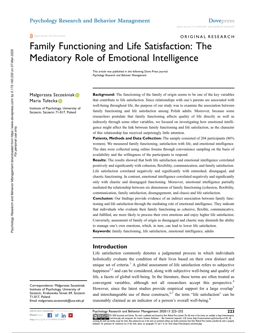 expository essay on how to improve family functioning