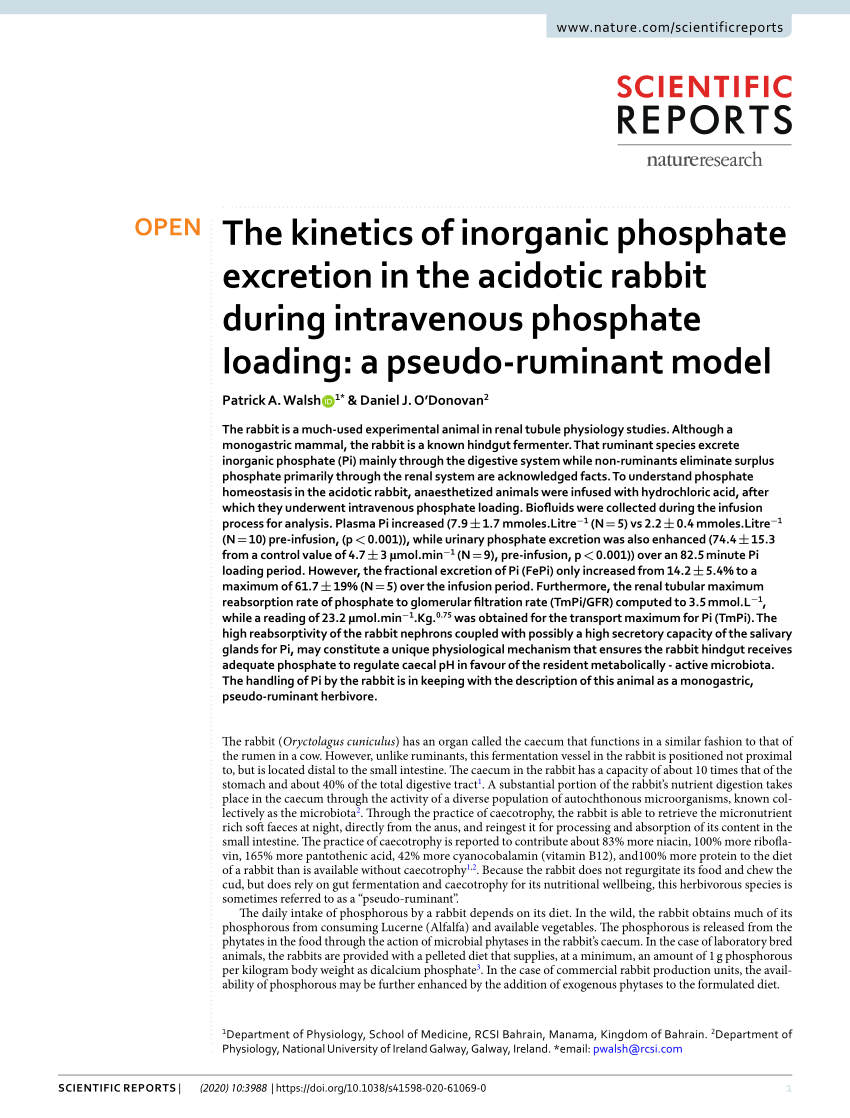 PDF) The kinetics of inorganic phosphate excretion in the acidotic rabbit  during intravenous phosphate loading: a pseudo-ruminant model
