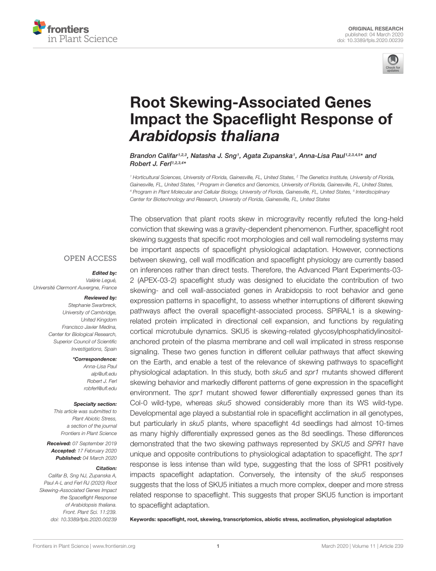 PDF) Root Skewing-Associated Genes Impact the Spaceflight Response ...