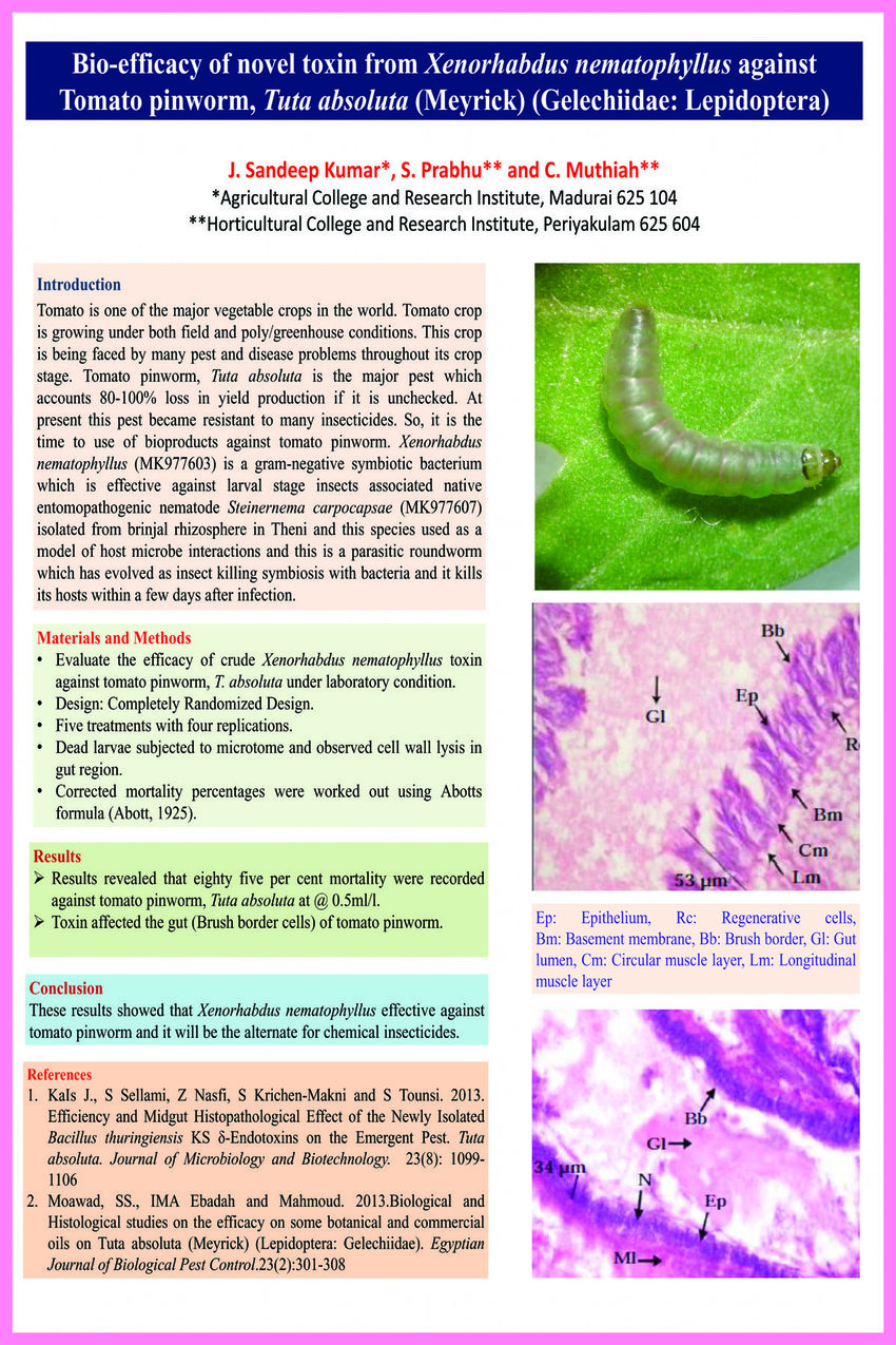 pinworm toxin