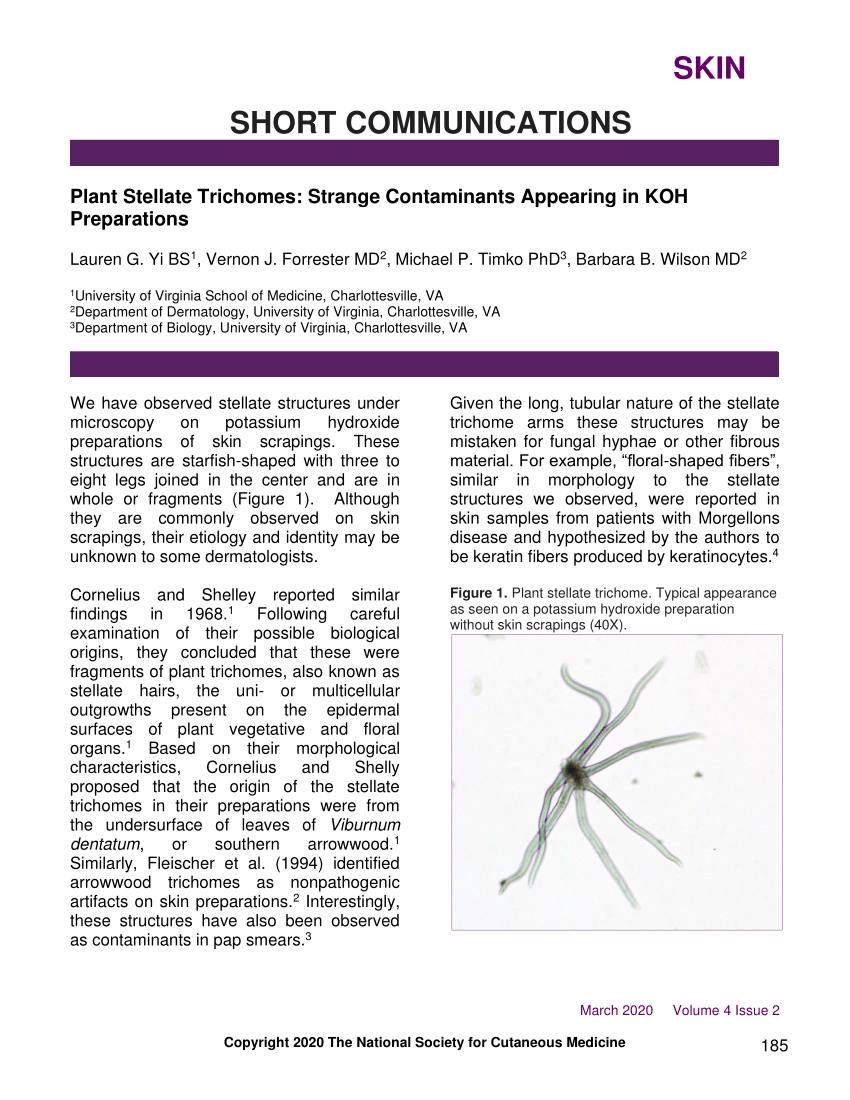 PDF) Plant stellate trichomes: strange contaminants appearing in KOH  preparations