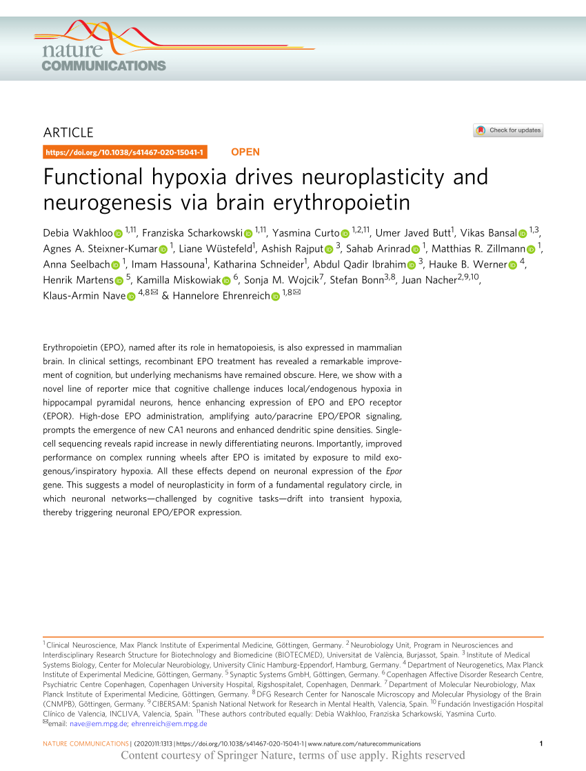 PDF) Functional hypoxia drives neuroplasticity and neurogenesis via brain  erythropoietin
