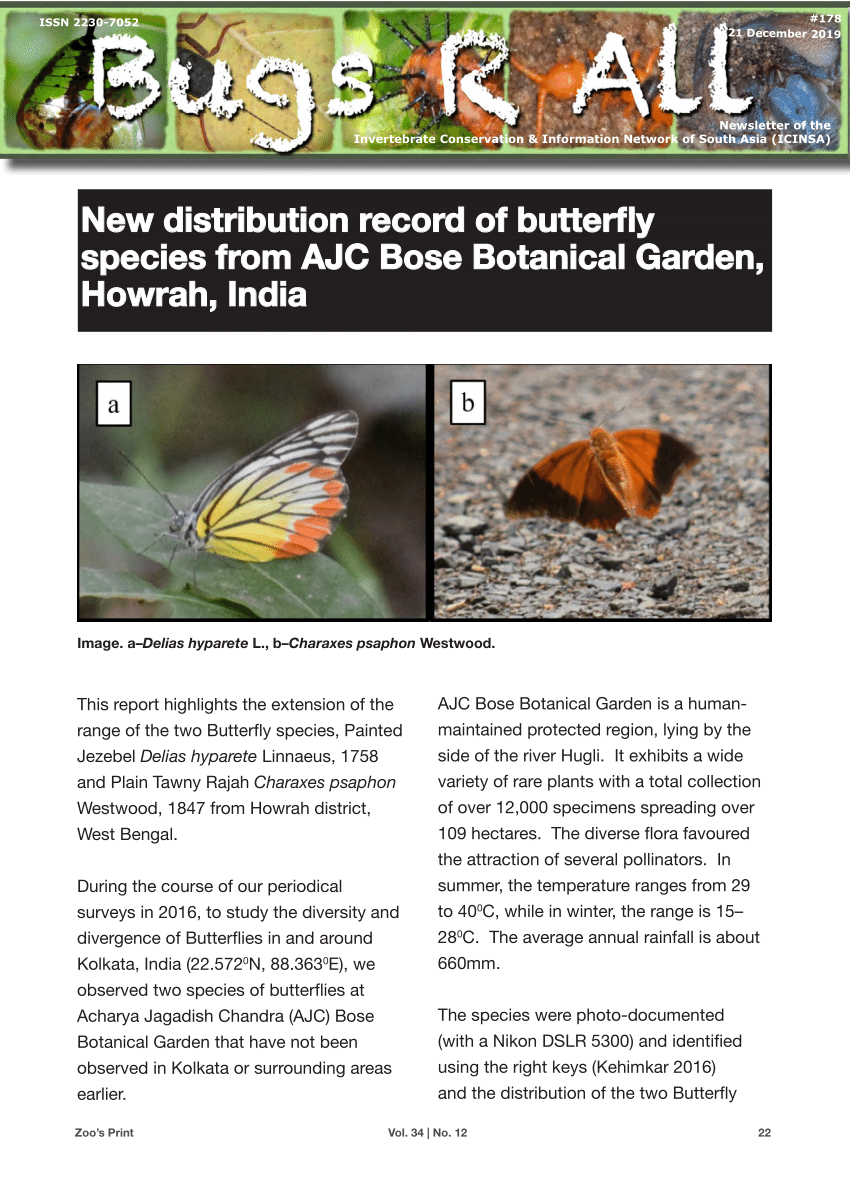 diversity of butterfly research paper