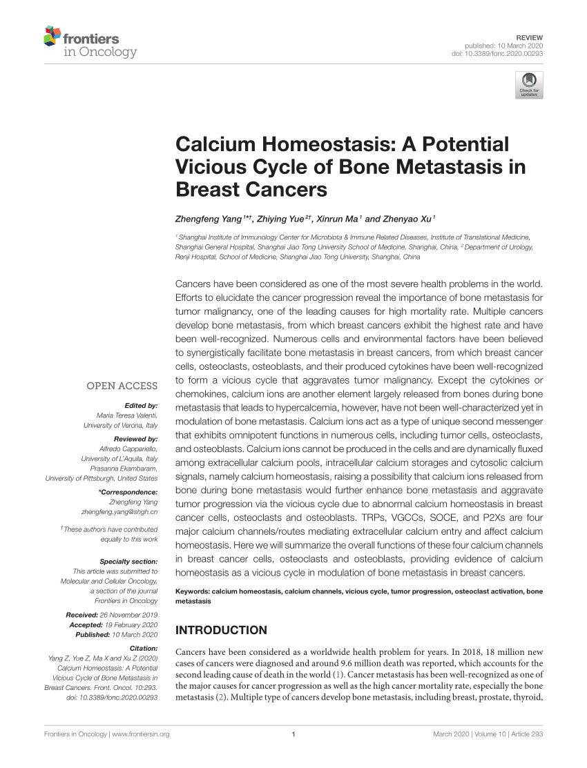 PDF) Calcium Homeostasis: A Potential Vicious Cycle of Bone 