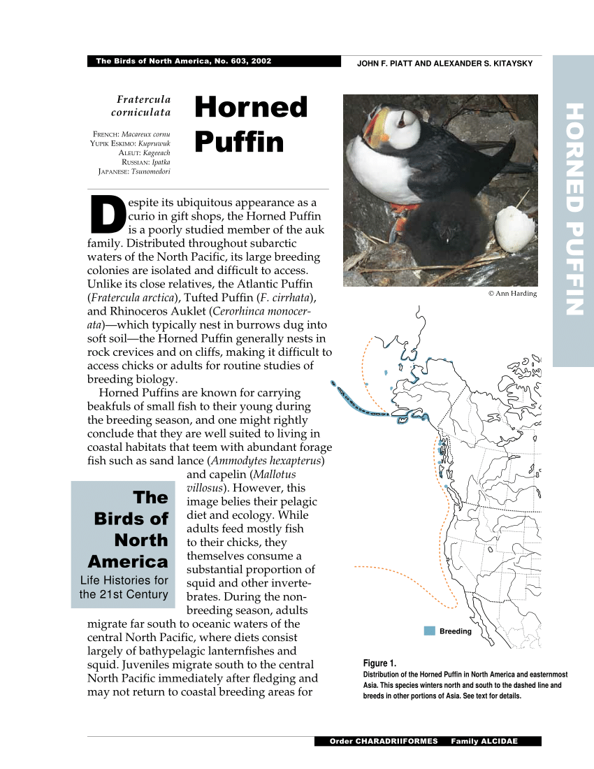 Horned Puffin, Online Learning Center