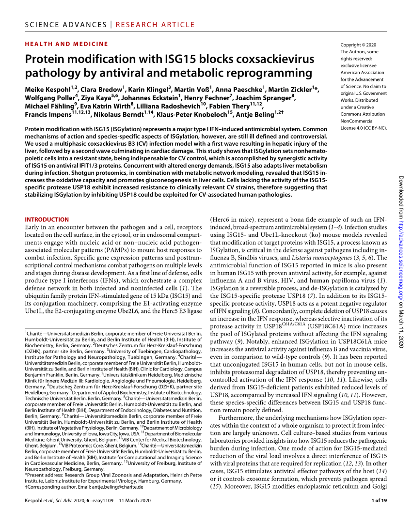 Pdf Protein Modification With Isg15 Blocks Coxsackievirus