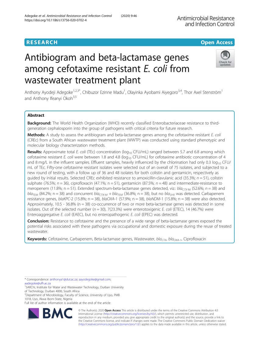 Pdf Antibiogram And Beta Lactamase Genes Among Cefotaxime Resistant E Coli From Wastewater Treatment Plant