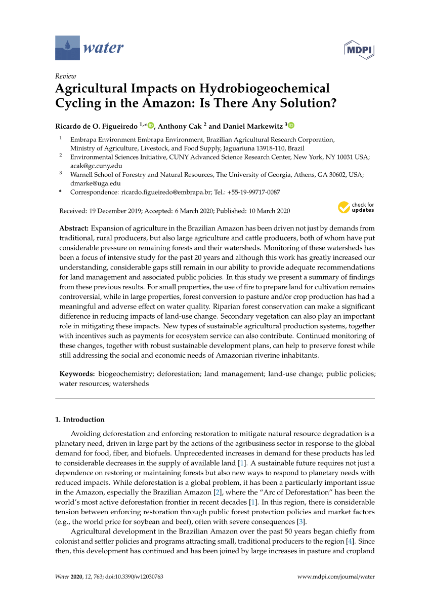 Pdf Agricultural Impacts On Hydrobiogeochemical Cycling In The Amazon Is There Any Solution
