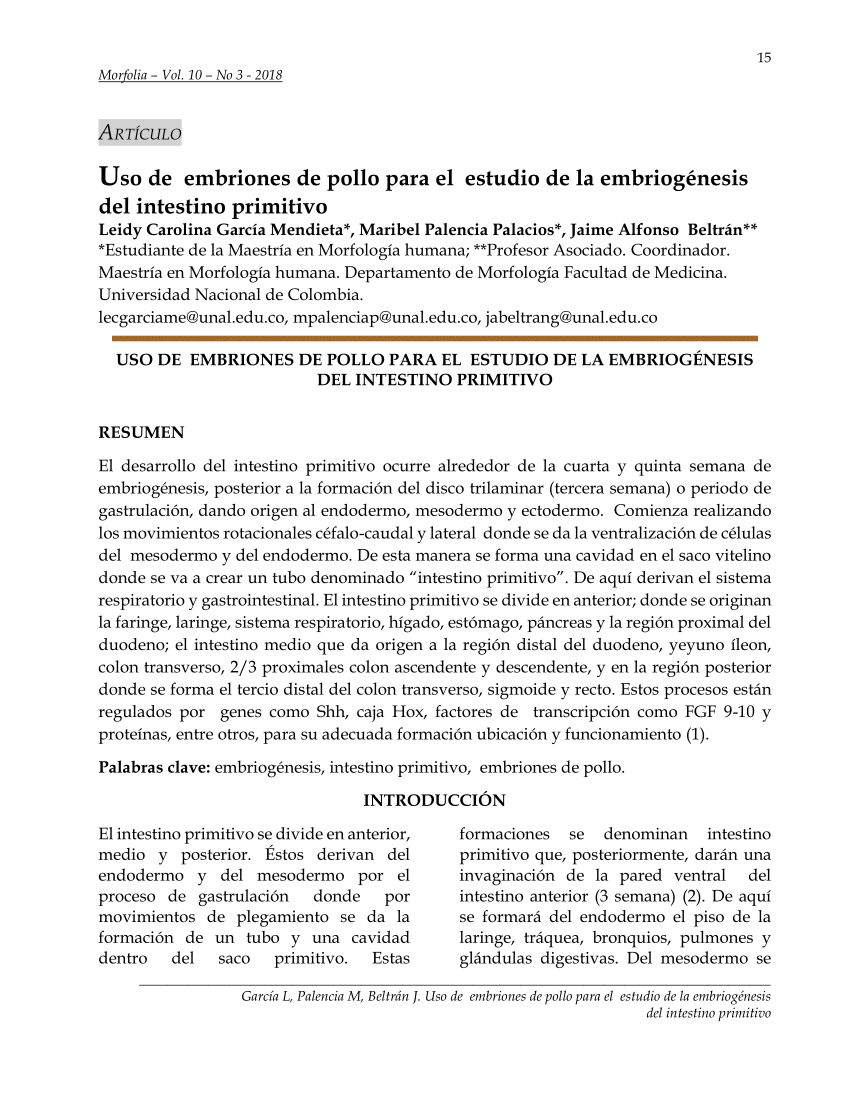 PDF) Uso de embriones de pollo para el estudio de la embriogénesis del  intestino primitivo