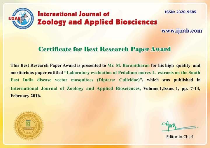 best research paper award