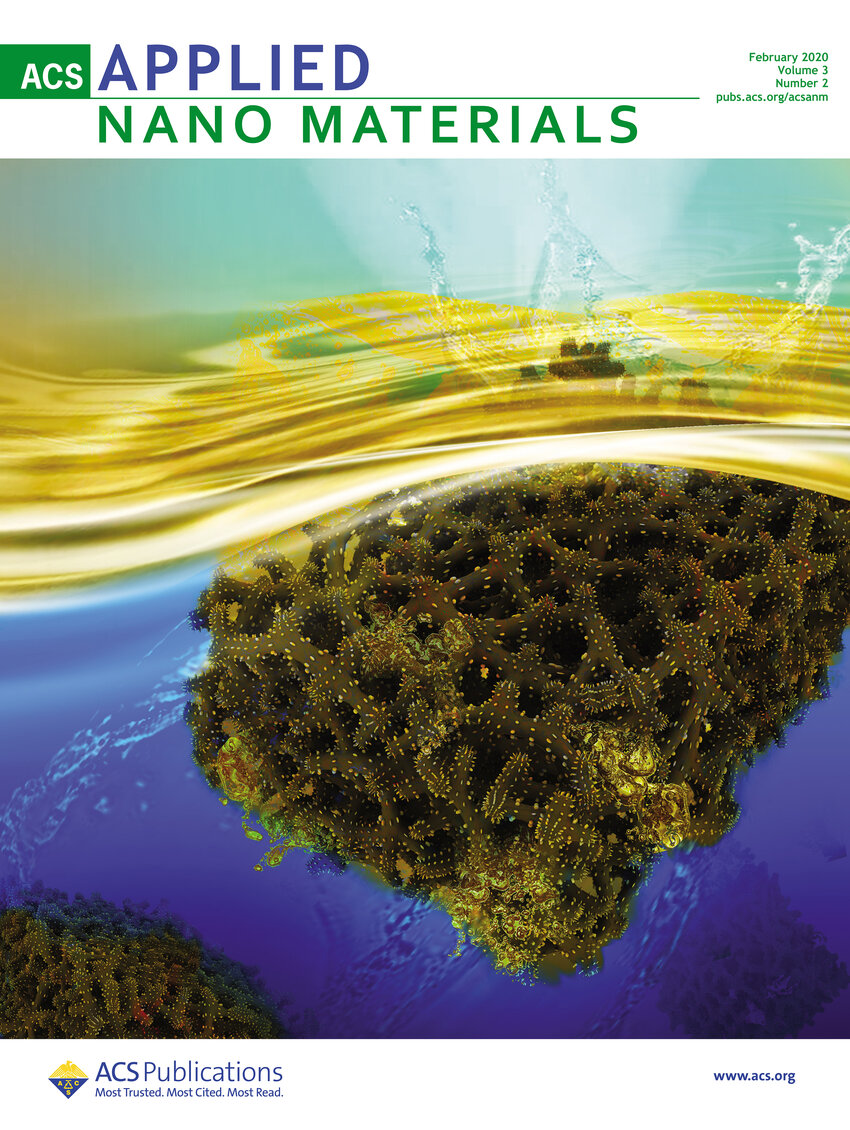 (PDF) The Cover of ACS Applied Nano Materials Volume 3, Issue 2