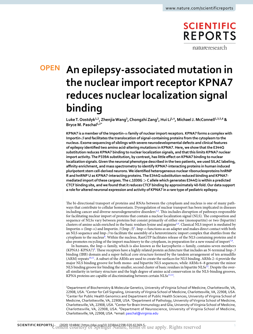 PDF) An epilepsy-associated mutation in the nuclear import ...