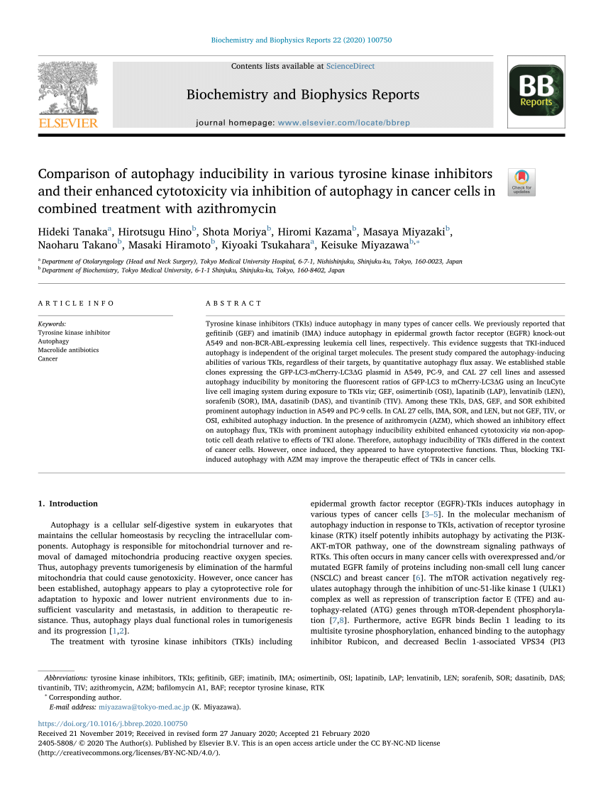 (PDF) Targeting Hedgehog signaling pathway and autophagy 