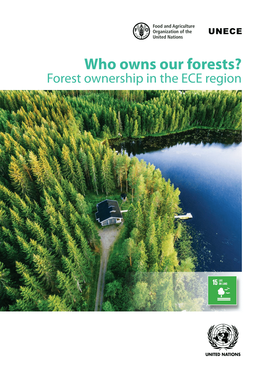 Pdf Changes In Forest Ownership