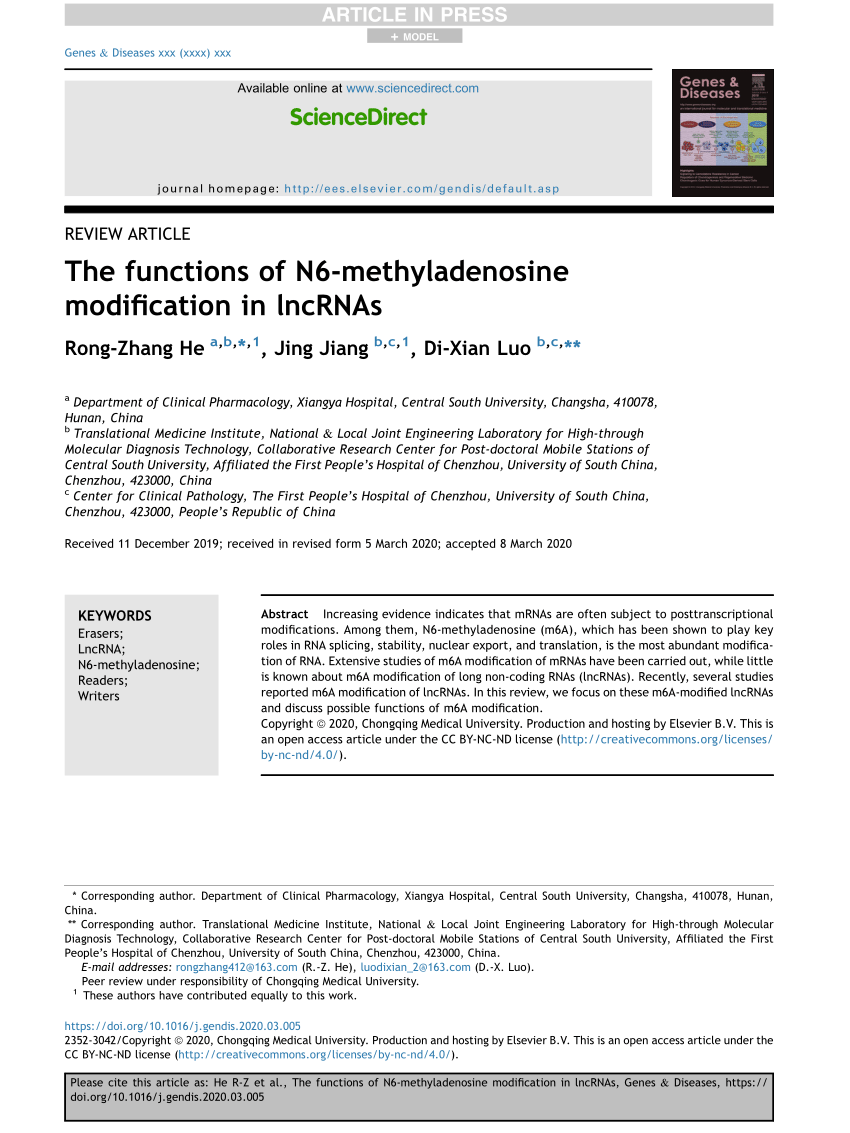 Pdf The Functions Of N6 Methyladenosine Modification In Lncrnas