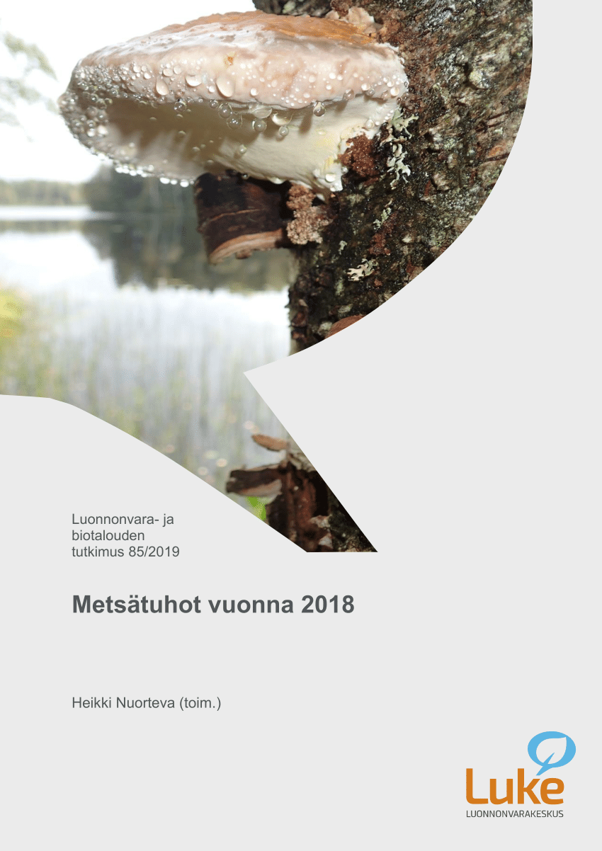 PDF) Kirjanpainajan feromoniseurannan tulokset 2018 (Results from the 2018  pheromone- based survey on spruce bark beetle (Ips typographus) abundance  in Finland)