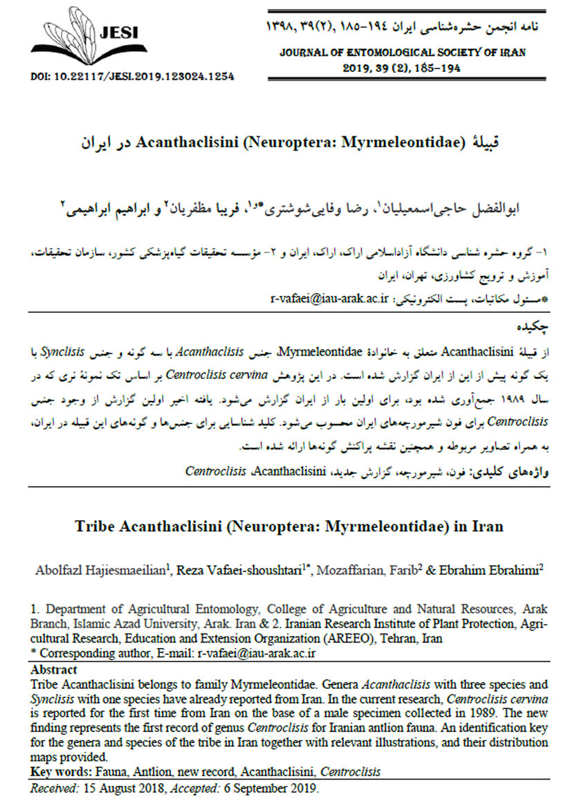 PDF Tribe Acanthaclisini Neuroptera Myrmeleontidae in Iran