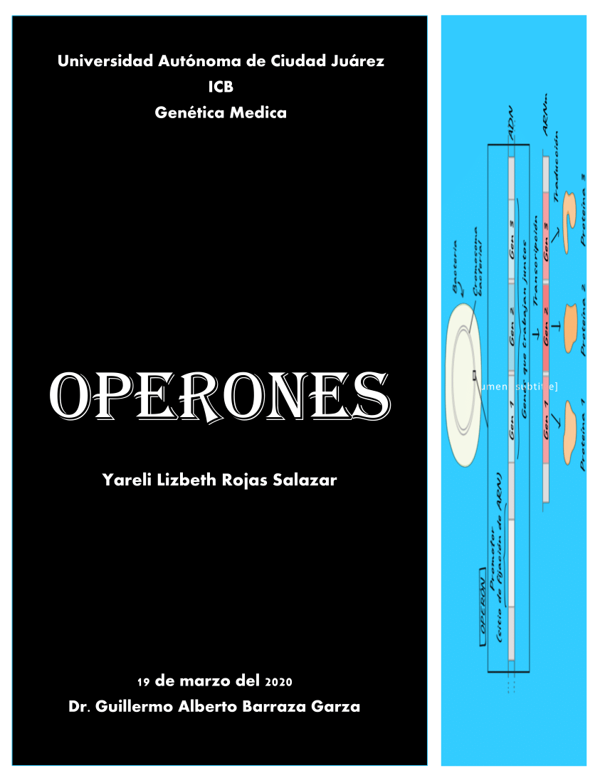 PDF) Operones