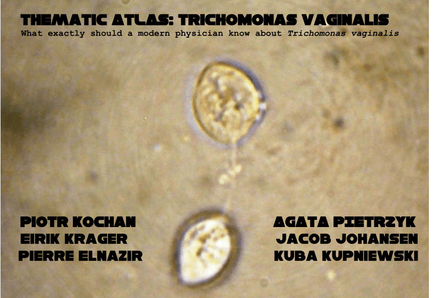 trichomonas és papilloma vírus