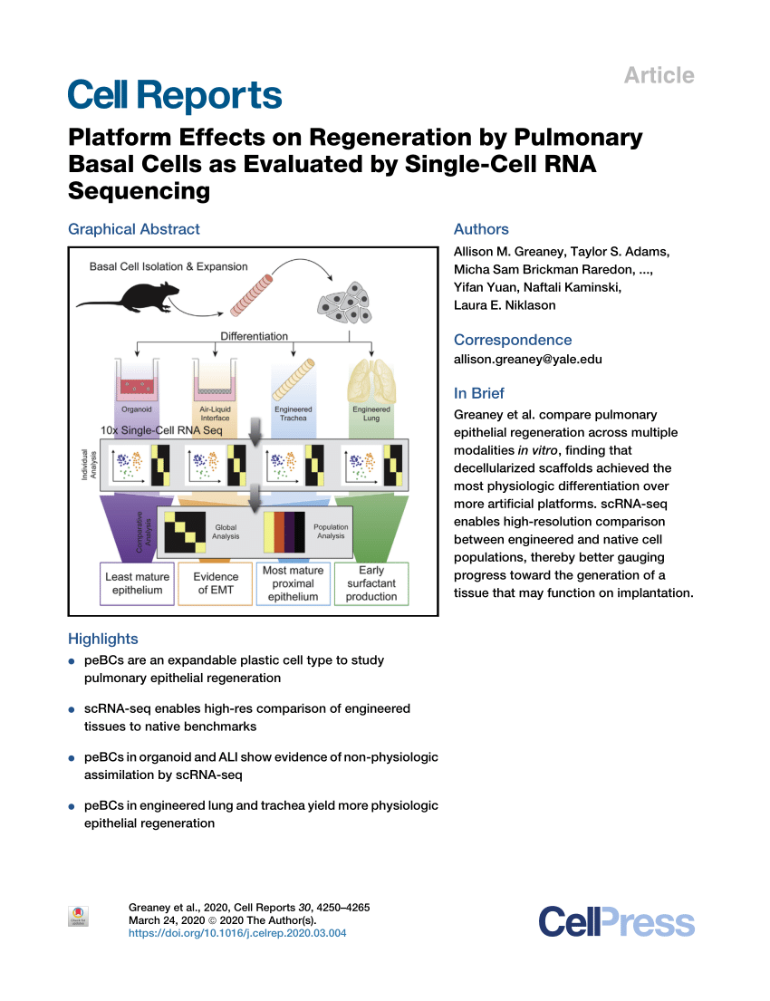 Pdf Platform Effects On Regeneration By Pulmonary Basal Cells As Evaluated By Single Cell Rna Sequencing