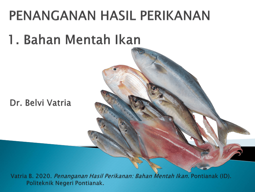 (PDF) Penanganan Hasil Perikanan: Bahan Mentah Ikan