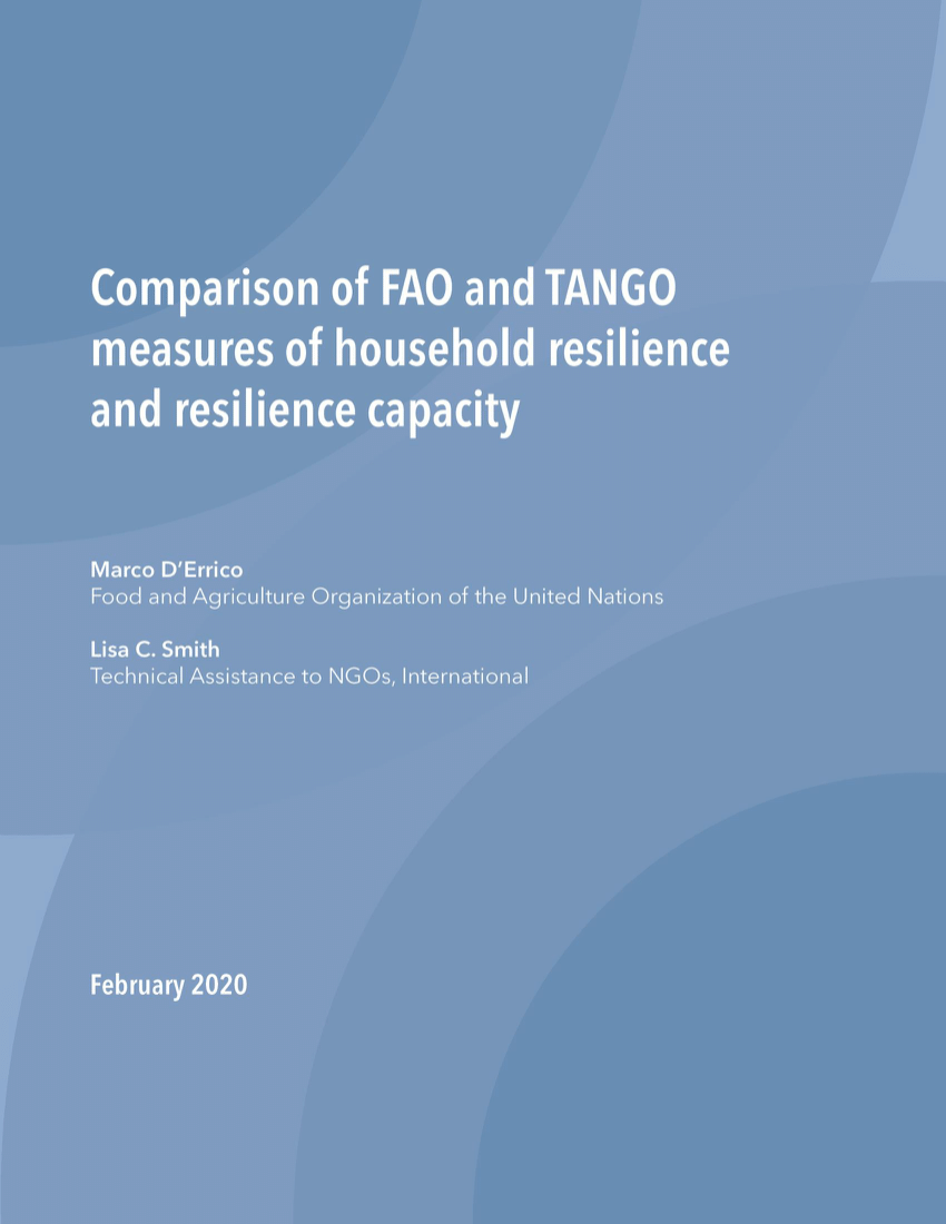 PDF) Comparison of FAO and TANGO measures of household resilience ...