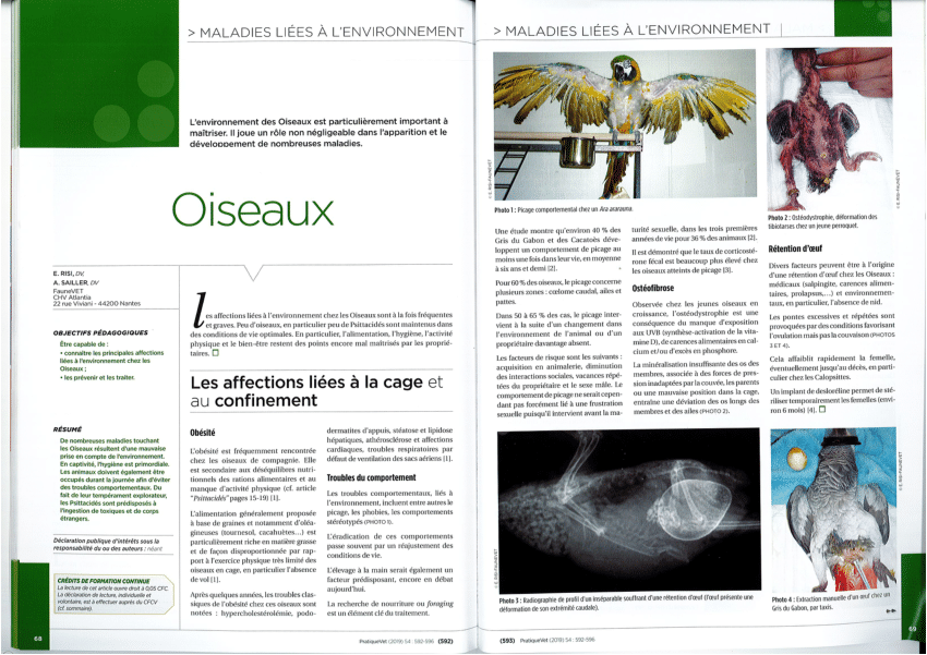 Pdf Maladies Liees A L Environnement Des Oiseaux